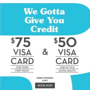 Visa Promotion