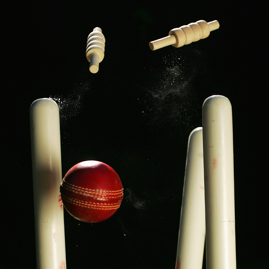 Cricket 